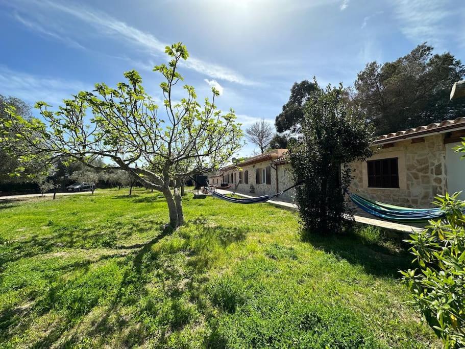 Finca Roberto Villa Can Picafort  Exterior foto